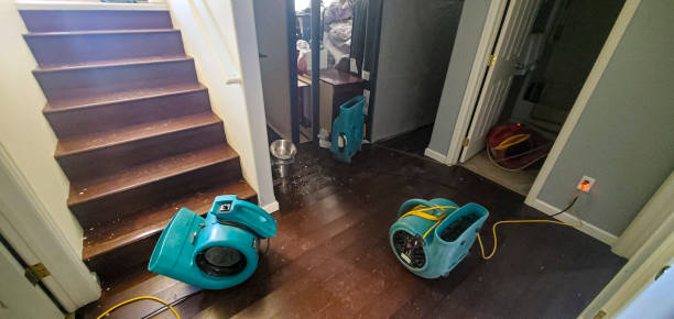 Best Flood damage cleanup  in Woodcrest, CA