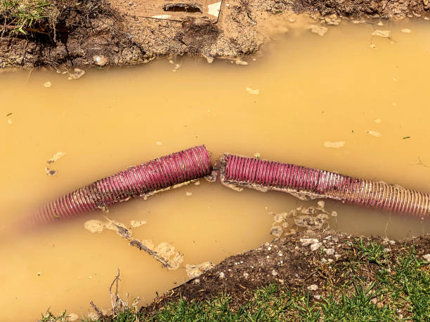 Best Water damage cleanup near me  in Woodcrest, CA